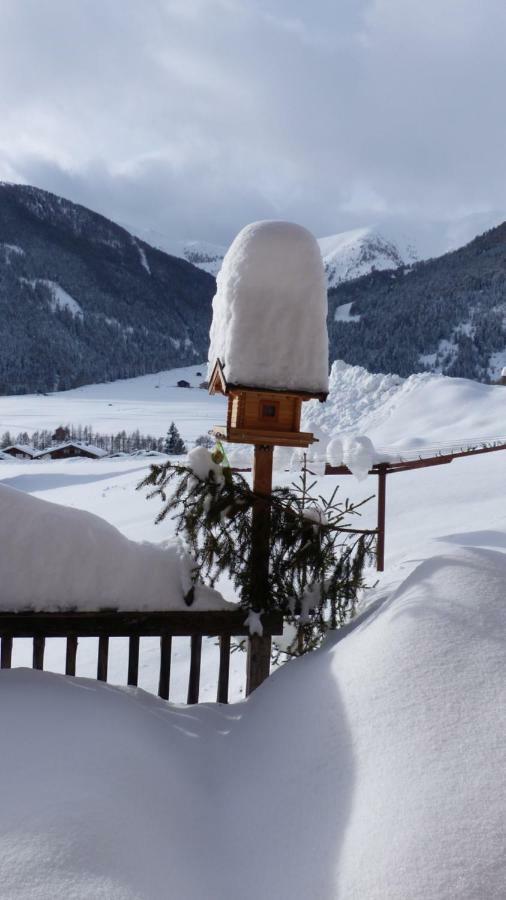 Farm stay Lucknerhof *